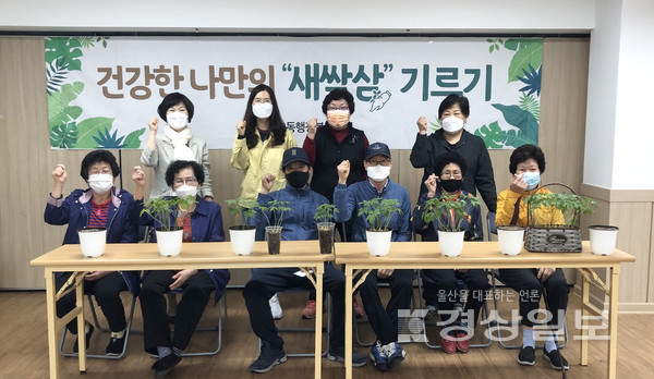 　울산 중구 복산2동 행정복지센터는 12일 센터 1층에서 2021년 경로당 내 평생교육 프로그램 지원사업의 하나로 ‘심봤다! 나만의 반려식물 새싹삼 기르기’를 운영했다.