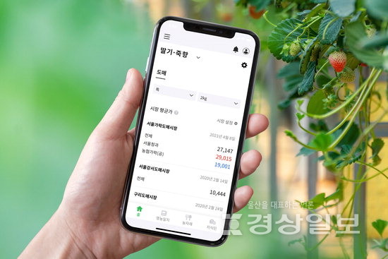 ▲ 팜모닝이 지원하고 있는 농장 앱. 판로 개척, 병해충, 유통 등 다양한 농사 정보를 제공하고 있다.