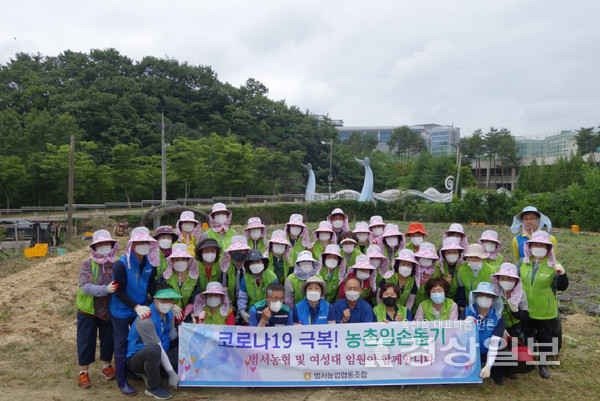 범서농협(조합장 김숙희)은 16일 여성대학 회원들과 함께 지역 농가를 방문해 감자를 수확하는 등 농촌일손돕기 활동을 실시했다.