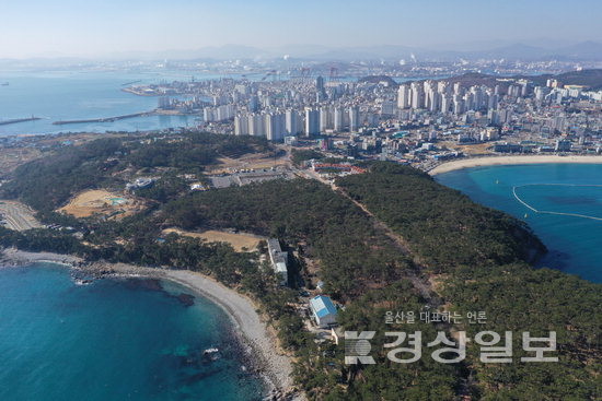▲ 울산의 중심에는 태화강국가정원이 있다. 아울러 울산대공원과 대왕암공원, 선암호수공원(왼쪽부터) 등 대규모 공원이 인구가 밀집한 주거지와 가까워 도심 속에서 전원적 여가녹지 공간으로의 접근이 용이하다. 자료제공 울산연구원