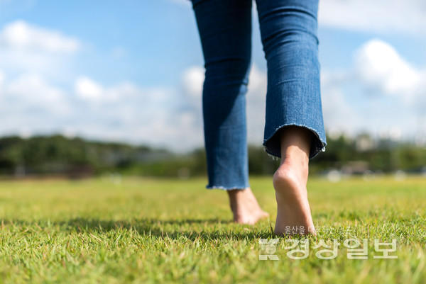 자료사진