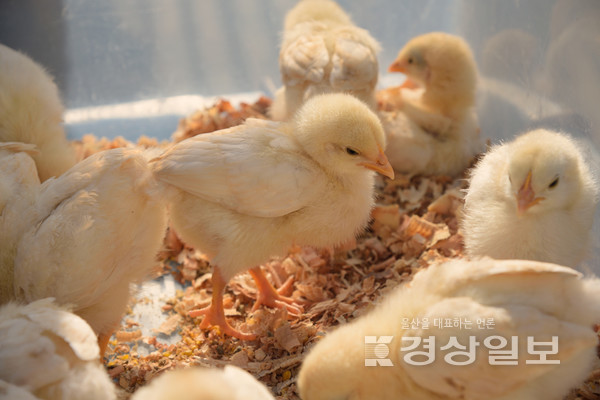자료사진