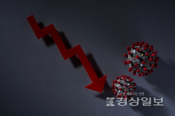 자료이미지