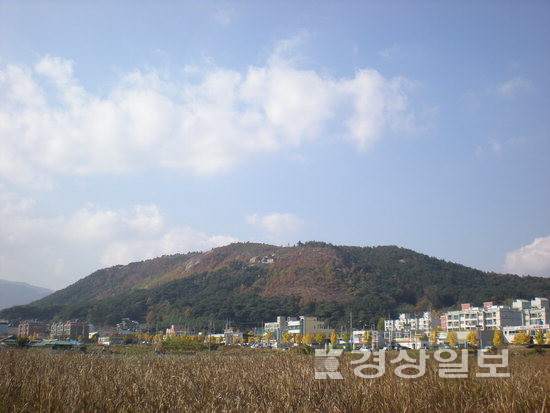 ▲ 오늘날 울산 울주군 화장산 전경.