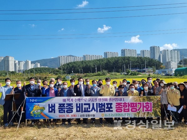 울산 농소농협은 벼 시범단지에서 농업관계기관 및 벼 생산농가 50여 명이 참석한 가운데 ‘벼 품종 비교 종합평가회’를 개최했다.