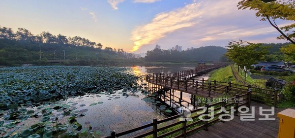 태화연의 새벽전경.