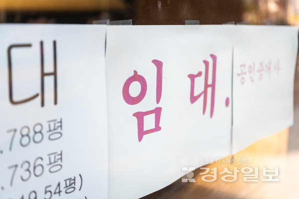 자료사진