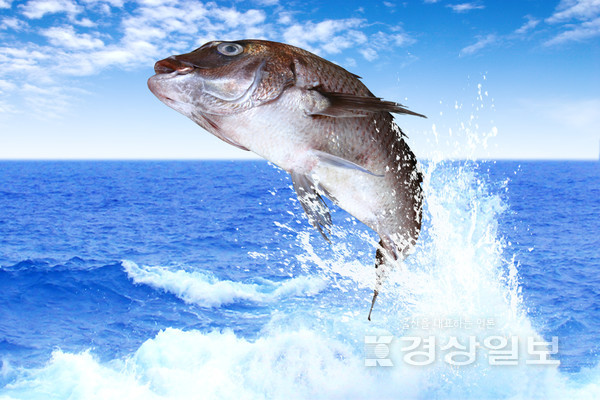 자료사진