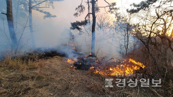 1일 오전 5시48분께 울산 울주군 서생면의 한 야산에서 산불이 발생했다.산불은 입산자 실화로 발생한 것으로 추정되면, 임야 약 1.5ha를 태우고 약 3시간여 뒤인 오전 8시55분께 진화됐다.