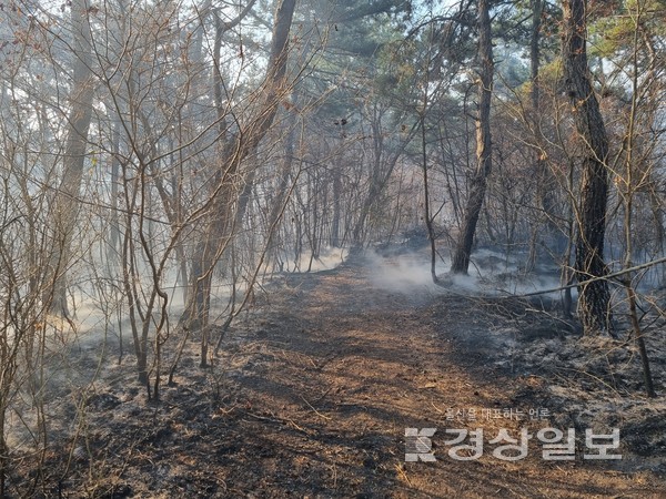 1일 오전 5시48분께 울산 울주군 서생면의 한 야산에서 산불이 발생했다.산불은 입산자 실화로 발생한 것으로 추정되면, 임야 약 1.5ha를 태우고 약 3시간여 뒤인 오전 8시55분께 진화됐다.