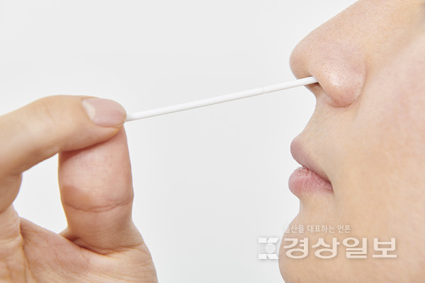 자료사진