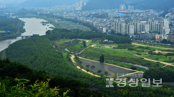 울산태화강국가정원 / 자료사진