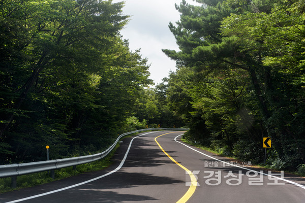 사진자료