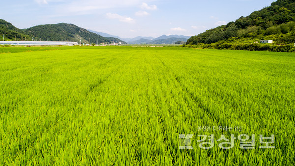 자료사진