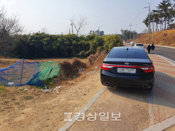 9일 울산 중구 성안동의 텃밭 인근 인도를 차량들이 점거하고 있다.