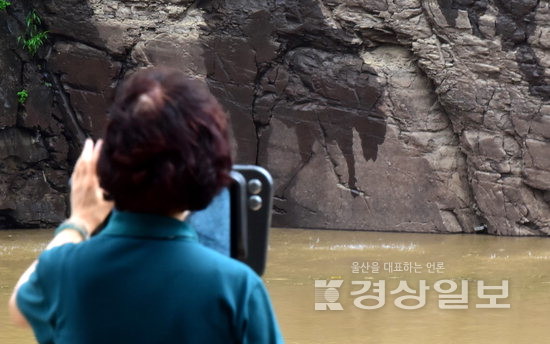 국보 제285호 반구대 암각화가 지난 2021년 9월 태풍 오마이스 내습시 사연댐 상류에 내린 폭우로 침수돼 있다. 경상일보 자료사진