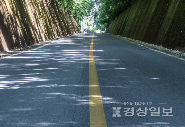 기사와 무관한 자료사진
