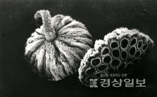 ▲ 도재수 작가 작품