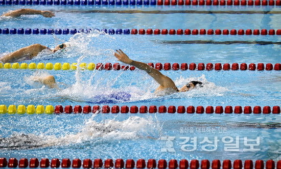 ▲ 12일 울산문수수영장에서 열린 제103회 전국체육대회 수영 여자일반부 자유형 100m에서 금메달을 차지한 울산의 정소은 선수가 힘차게 물살을 가르고 있다. 김동수기자 dskim@ksilbo.co.kr