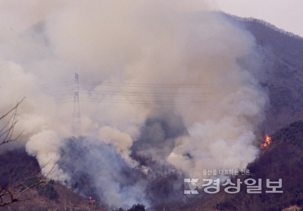 자료사진