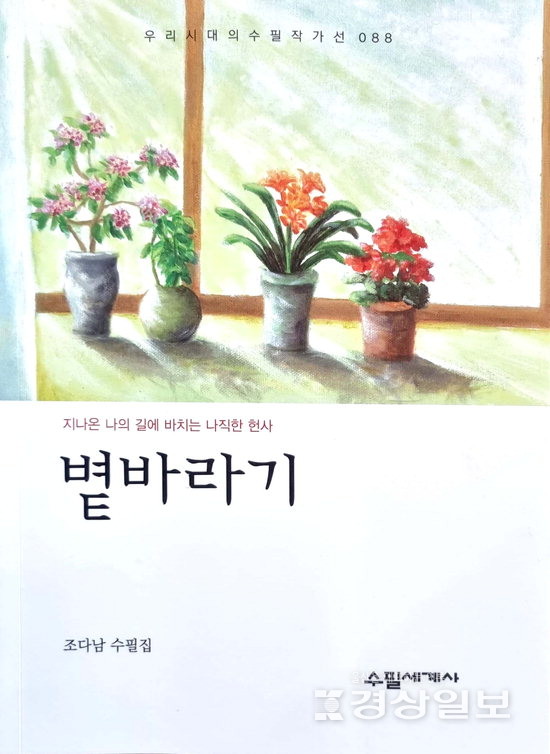 ▲ ◇조다남 '볕바라기'
