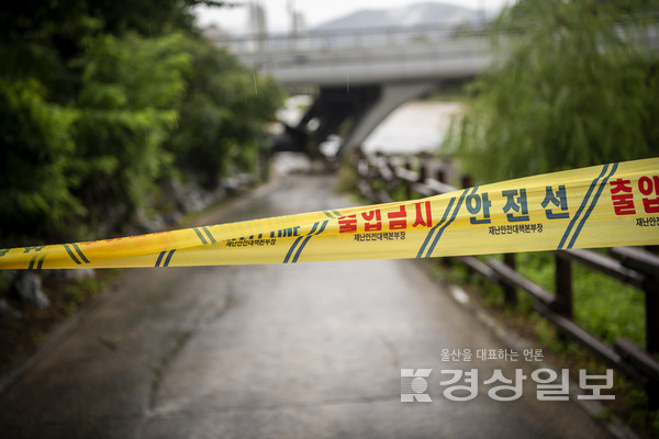 자료사진