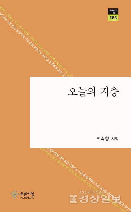 ▲ 조숙향