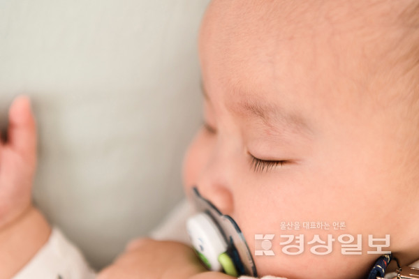 자료사진