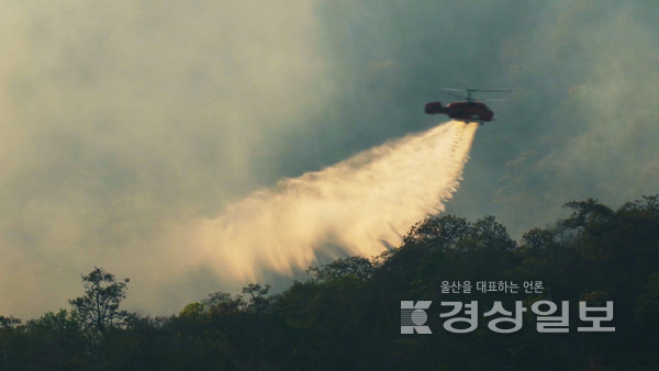 자료사진