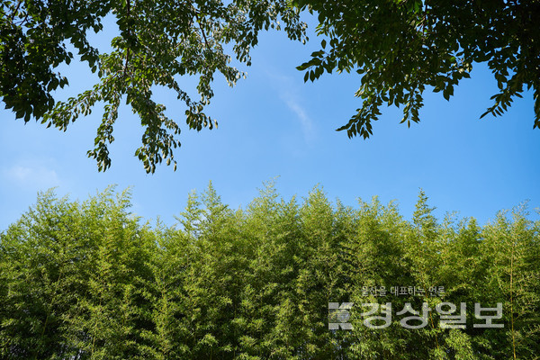 자료사진