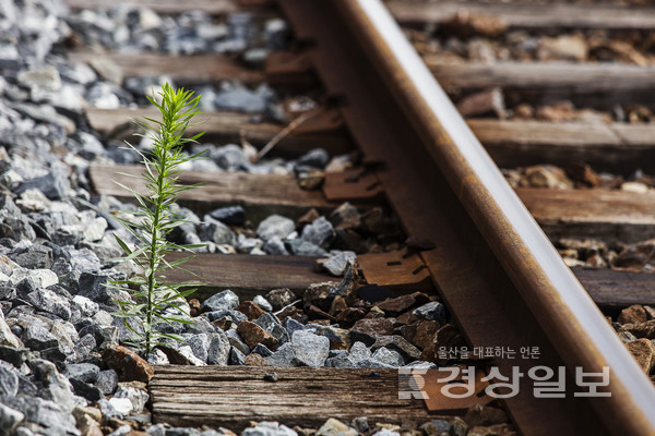 자료사진