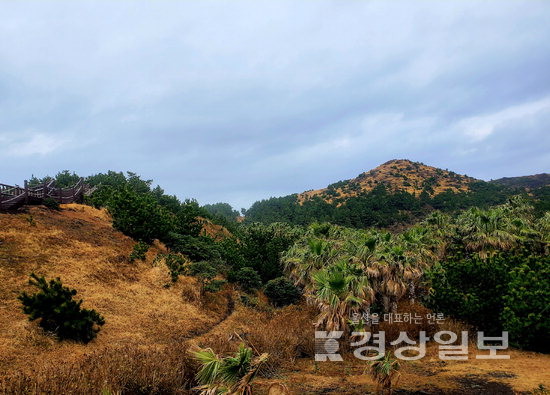 ▲ 송악산은 길이 험하지 않아 누구나 쉽게 오를 수 있지만 바람이 많은 편이다.