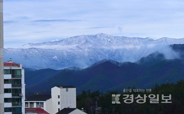 10일 울산지역 산간지역에 눈이 내려 신불산과 가지산 등 영남알프스 정상부위가 하옇게 변해있다. 김동수기자 dskim@ksilbo.co.kr