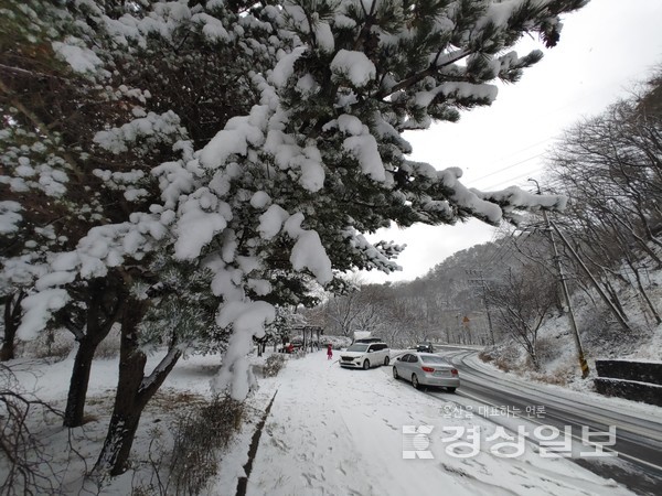 15일 울산지역에 춘설이 내려 울산시 북구 무룡산 고갯길이 하얀눈으로 뒤덥여 있다. 김동수기자 dskim@ksilbo.co.kr