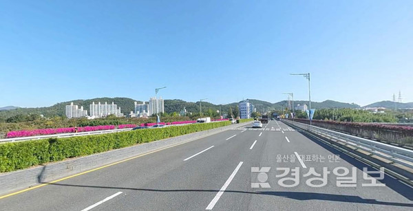 신삼호교 / 다음 로드뷰 화면캡처