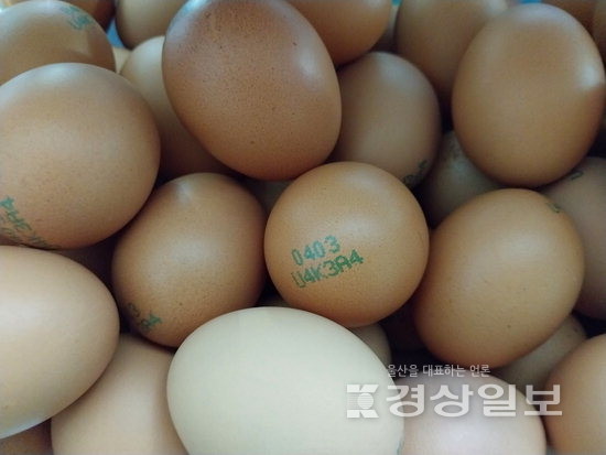 ▲ 계란 표면에 표기된 ‘난각번호’.