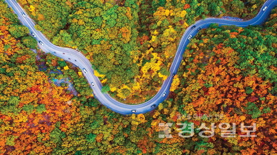 ▲ 이종건 작가의 ‘석남로의 가을’