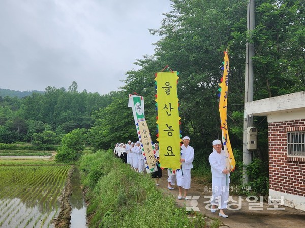 울산농요보존회는 지난 28일 울산 울주군 상북면 지내리에서 지역 주민 명동마을공동체와 함께 전통 손 모내기 체험인 ‘2023 울산 농요 재현’ 행사를 개최했다.