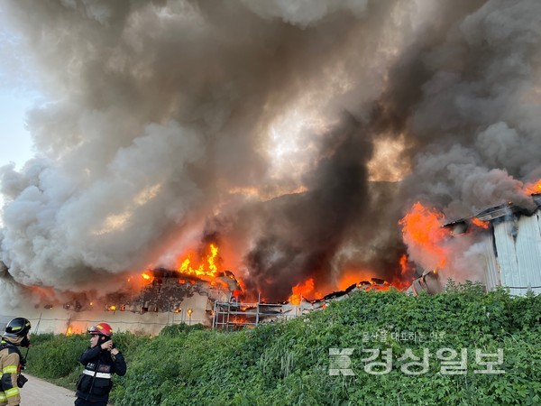 31일 오후 6시47분께 울산 울주군 두서면 차리에 위치한 덕원농장에서 화재가 발생했다.