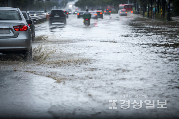자료사진