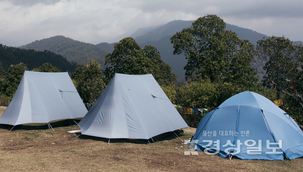 자료사진