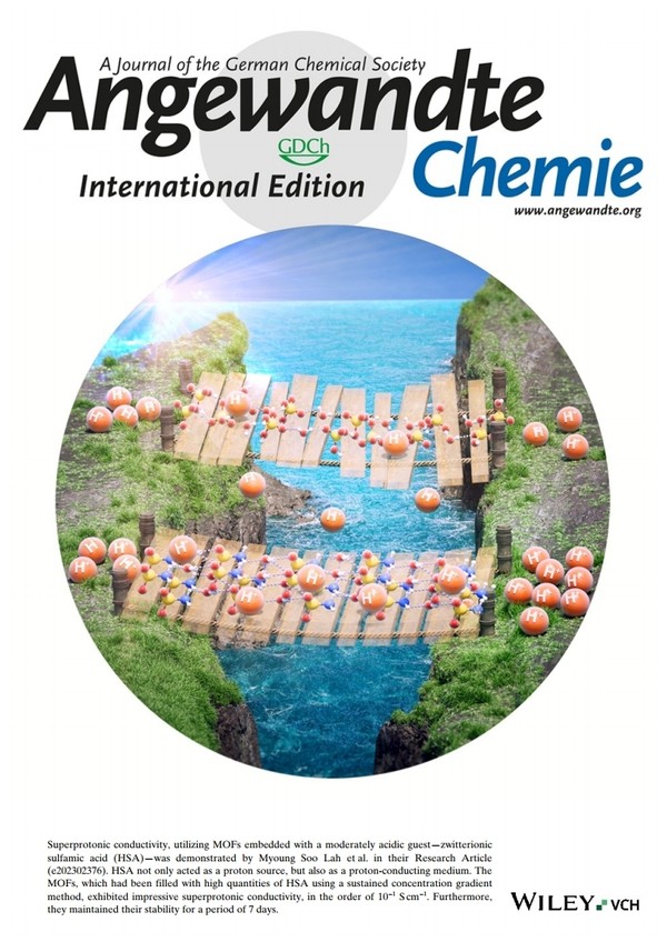 Angewandte Chemie International Edition 표지 논문 선정.