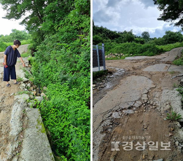 울산 울주군 상북면의 한 마을 농로가 지속적으로 유실되고 지반이 침하되면서 인근 주민들이 대책 마련을 호소하고 있다. 농로가 유실 파손됐으며 도로 곳곳이 파여 흙이 드러나 있다.