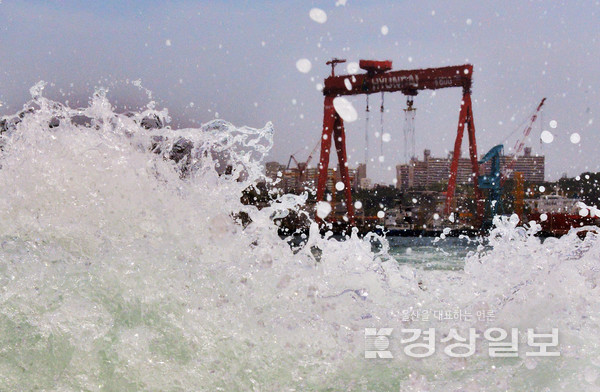 자료사진