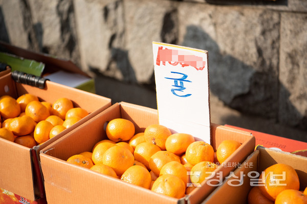 자료사진