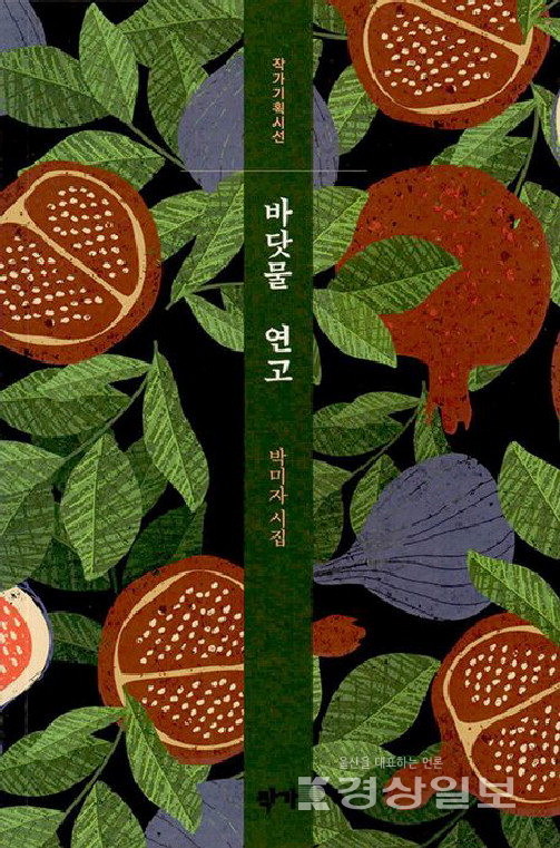 ▲ 박미자 시집 '바닷물 연고'