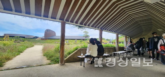 ▲ ‘라 콜리나의 밤나무회랑에서 바라보는 논과 밭.