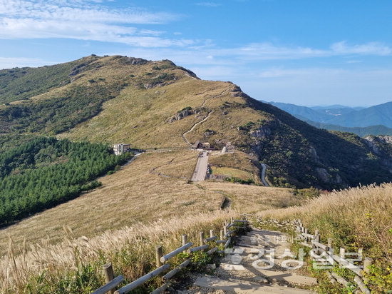 ▲ 울산 울주군 영남알프스 간월재 억새군락지 전경.