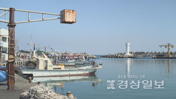 신리마을 앞바다에 정박중인 낚시배들.