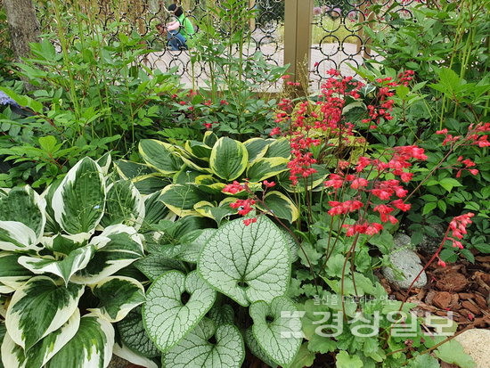 ▲ 녹색의 다양한 색상과 질감의 조화.